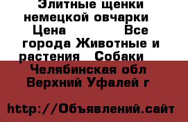 Элитные щенки немецкой овчарки › Цена ­ 30 000 - Все города Животные и растения » Собаки   . Челябинская обл.,Верхний Уфалей г.